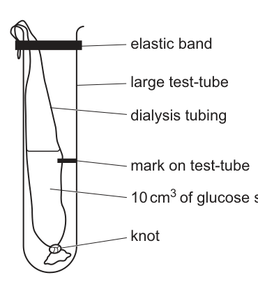 Fig. 1.2