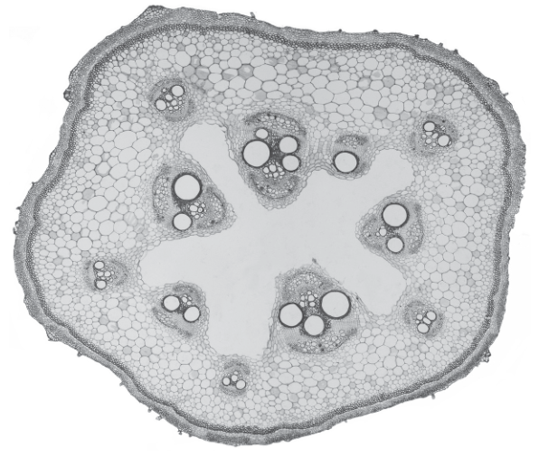 Fig. 2.2