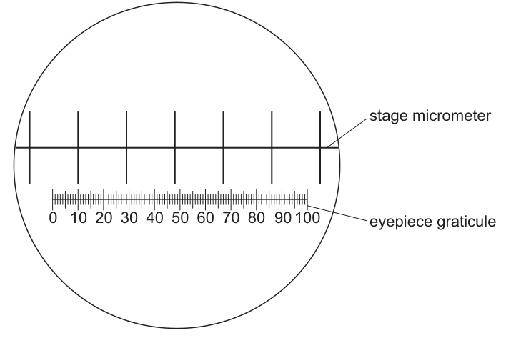 Fig. 2.3