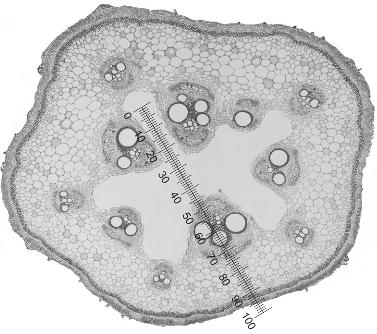 Fig. 2.4