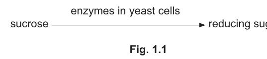 Fig. 1.1