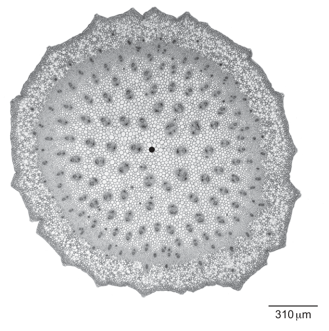 Fig. 2.2