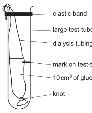 Fig. 1.2