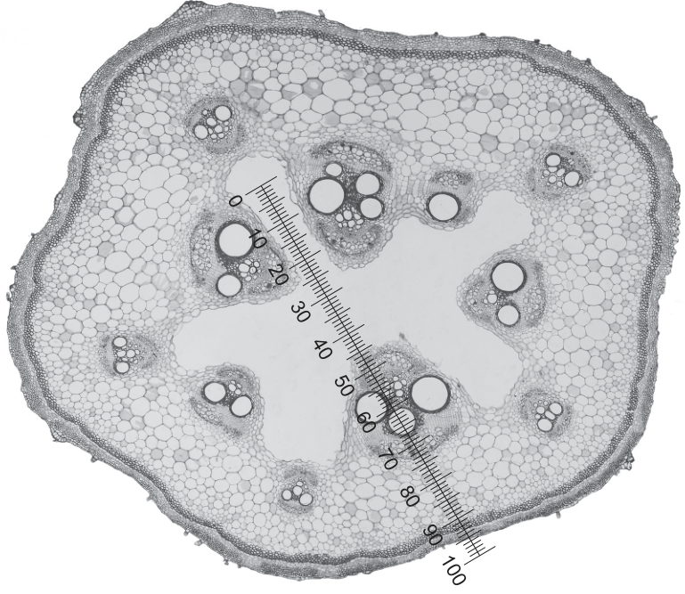 Fig. 2.4