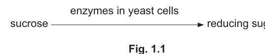 Fig. 1.1