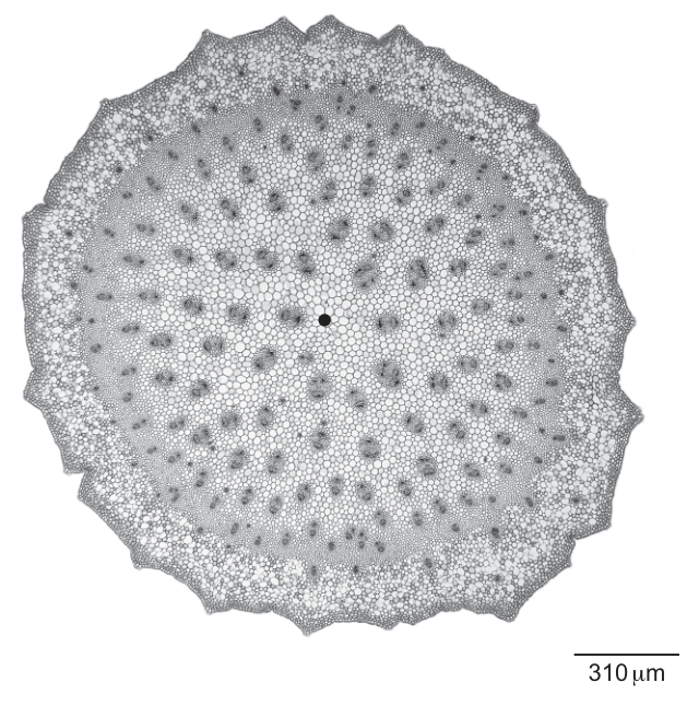 Fig. 2.2