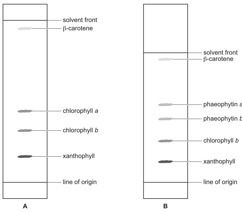 Fig. 3.2