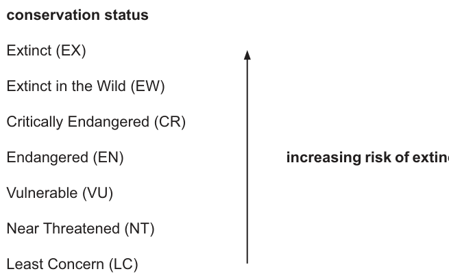 Fig. 6.2