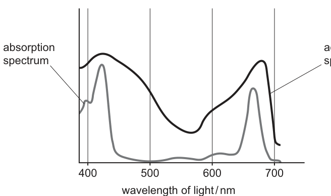 Fig. 9.1