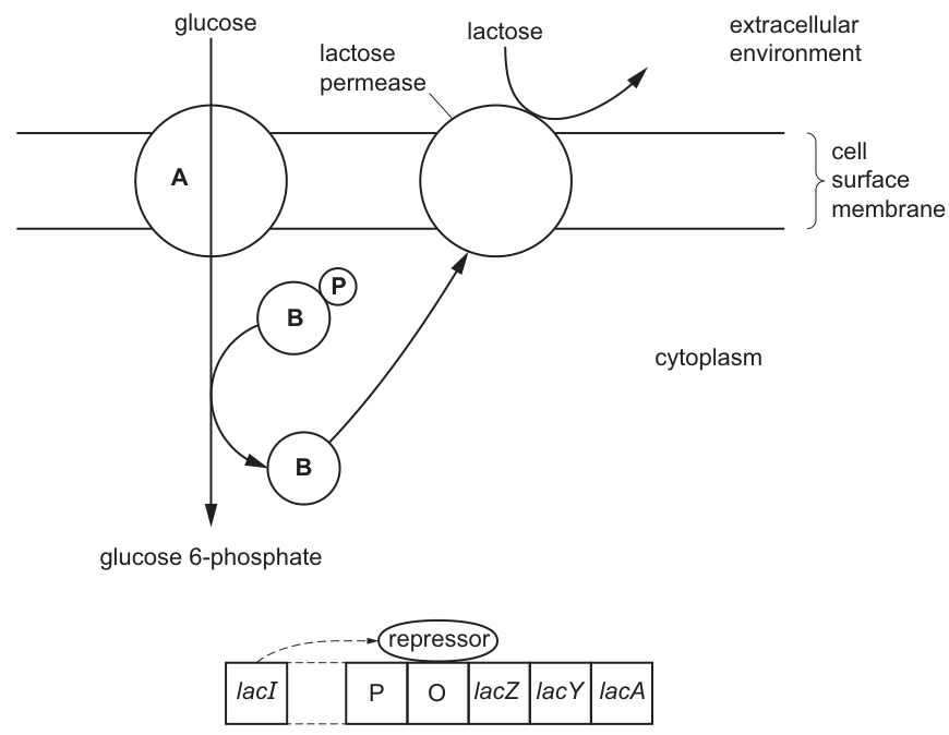 Fig. 3.1