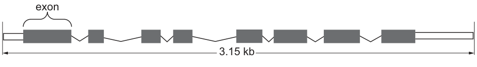 Fig. 5.1