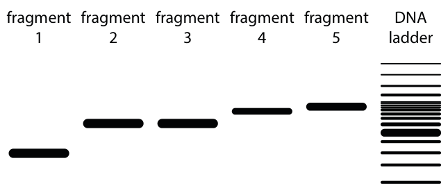 Fig. 5.2
