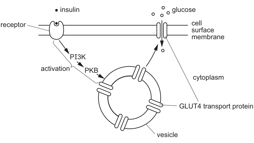 Fig. 6.1