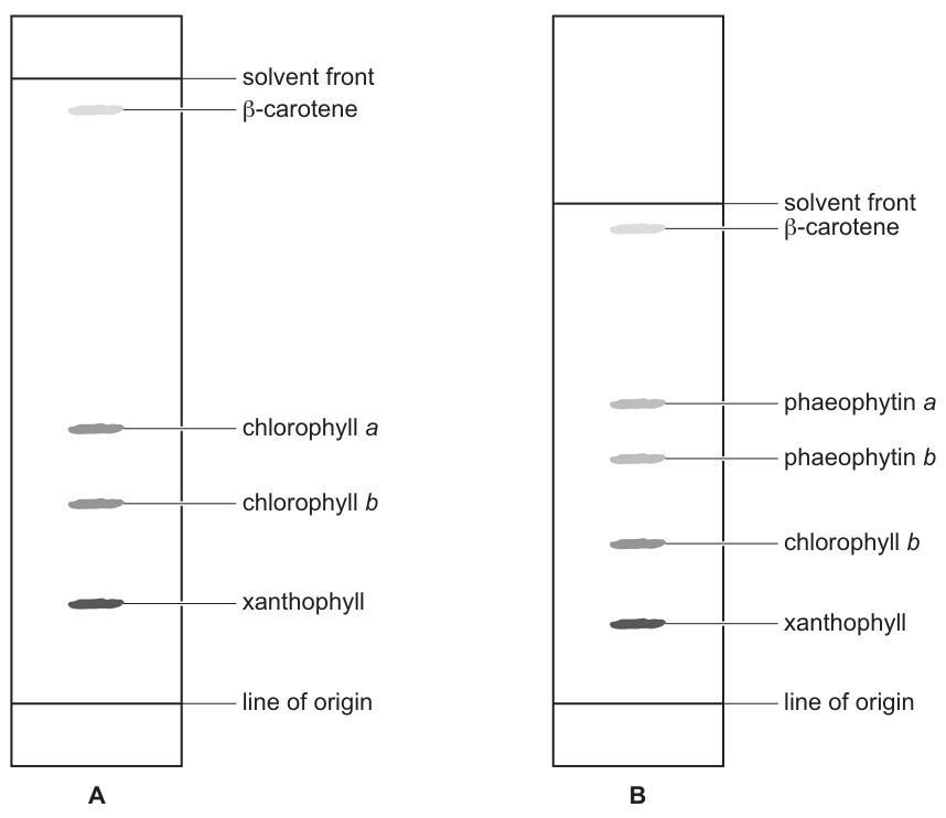 Fig. 3.1