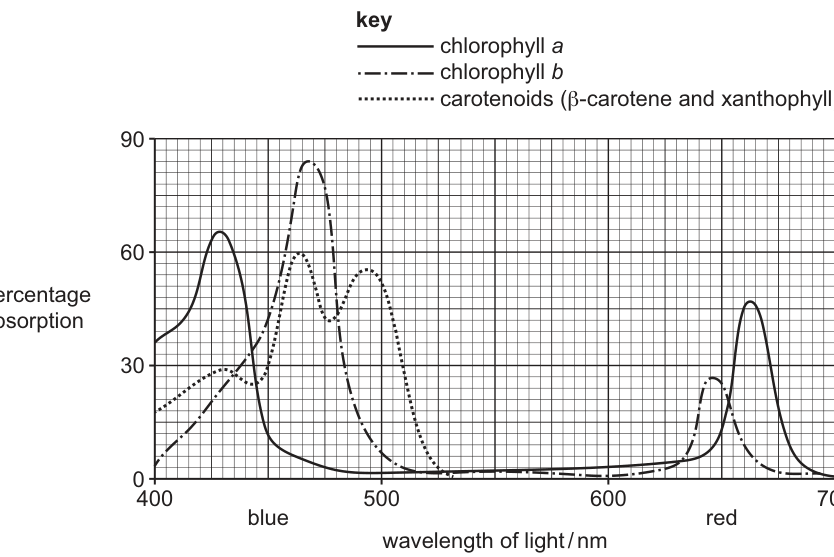 Fig. 3.2