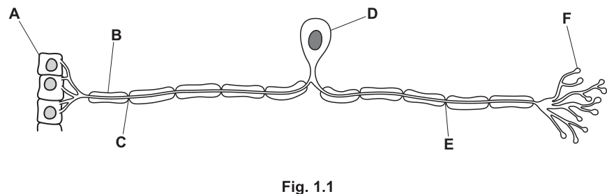 Fig. 1.1
