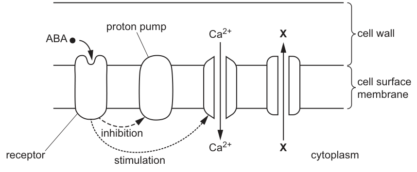 Fig. 8.1