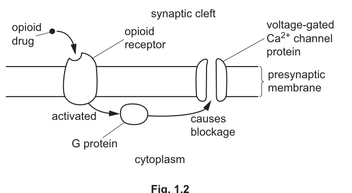 Fig. 1.2