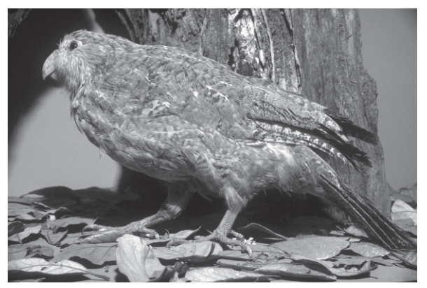 Fig. 7.1