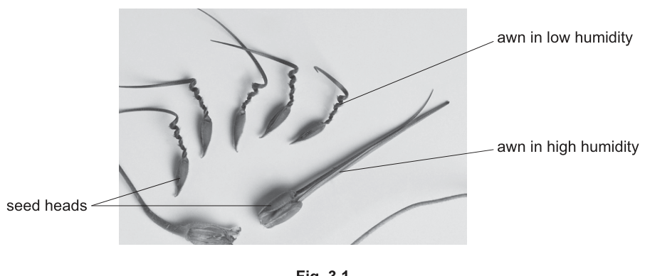 Fig. 3.1