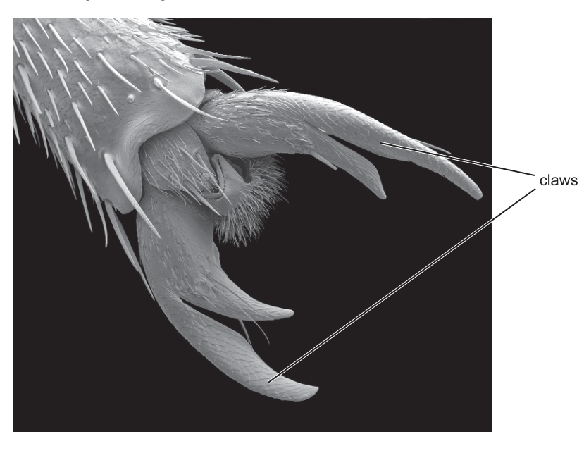 Fig. 2.3