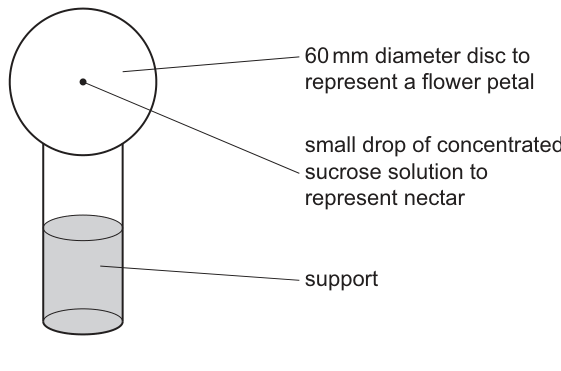 Fig. 2.6