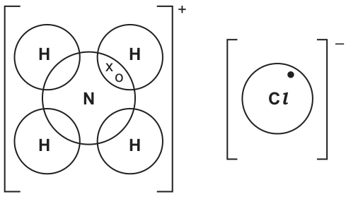Fig. 1.1