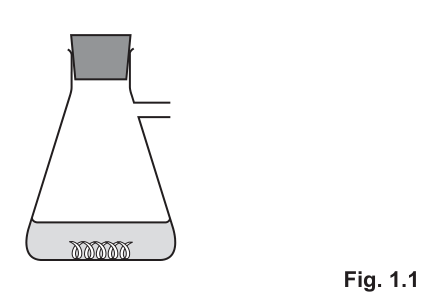 Fig. 1.1