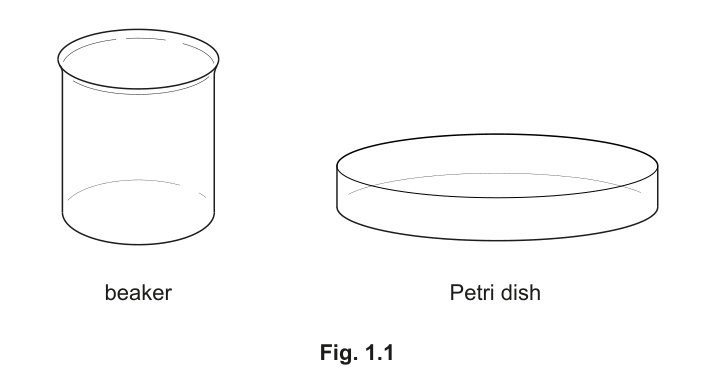 Fig. 1.1