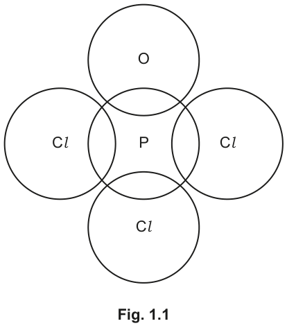 Fig. 1.1