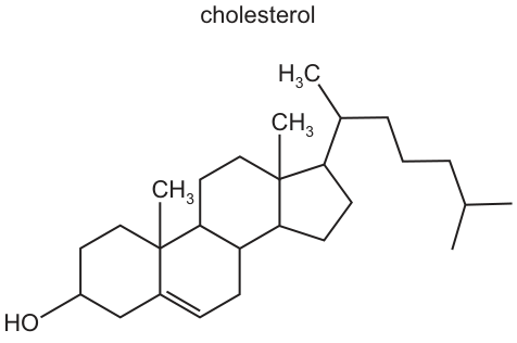 Fig. 25