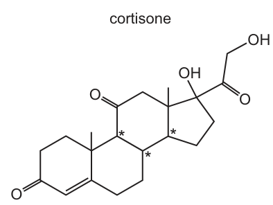 Fig. 26