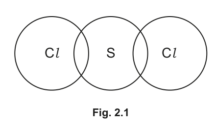 Fig. 2.1