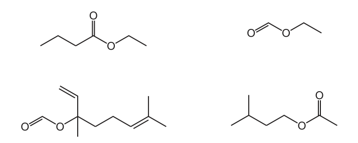 Fig. 28.1