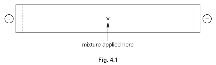 Fig. 4.1
