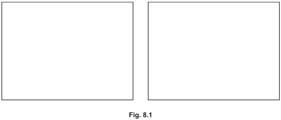 Fig. 8.1