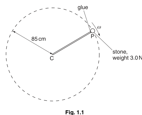 Fig. 1.1