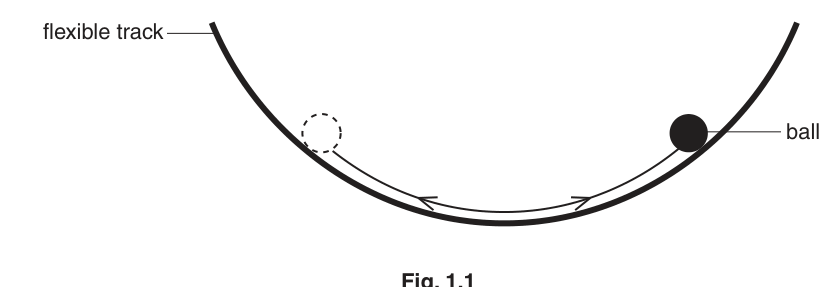 Fig. 1.1