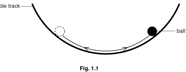 Fig. 1.1
