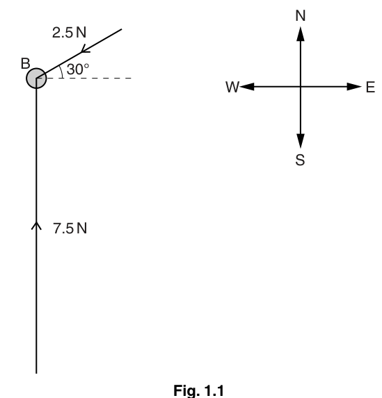 Fig. 1.1