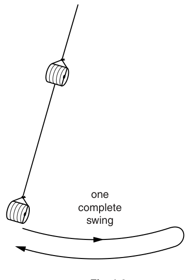 Fig. 1.2