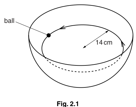 Fig. 2.1 — the ball following its horizontal circular path of radius 14 cm inside the hemispherical bowl.