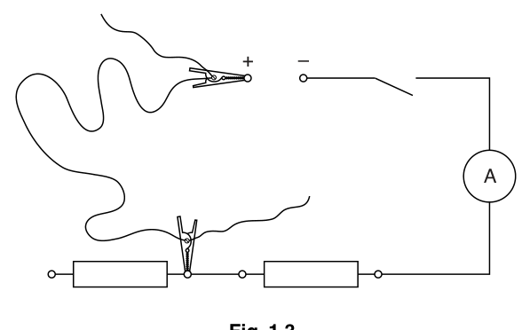 Fig. 1.3