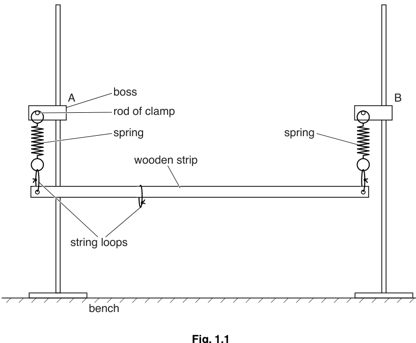 Fig. 1.1