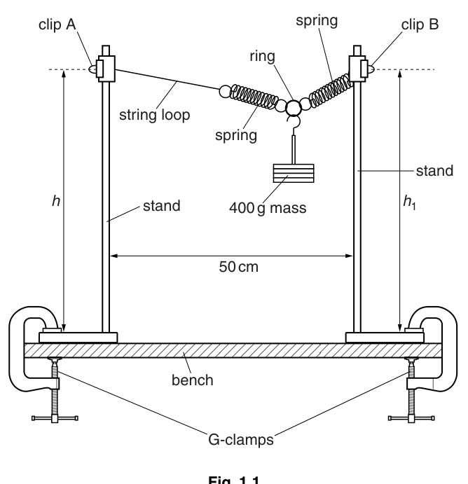 Fig. 1.1