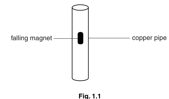 Fig. 1.1