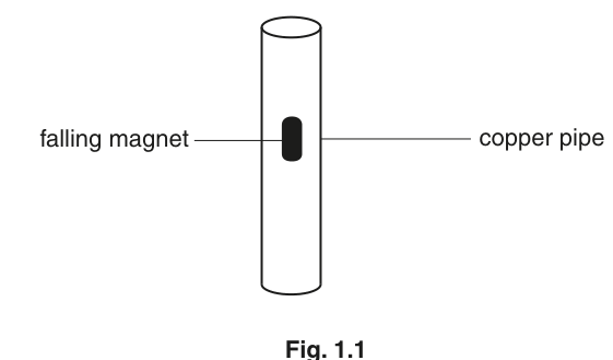 Fig. 1.1