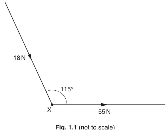 Fig. 1.1