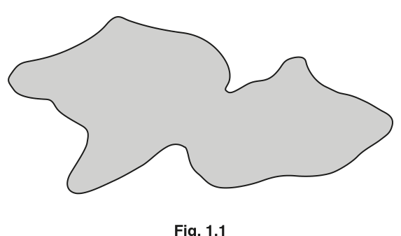 Fig. 1.1