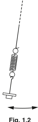 Fig. 1.2